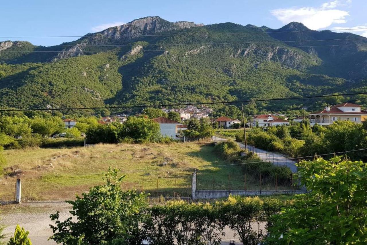 Koulas House In Diava Kalampáka Dış mekan fotoğraf